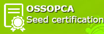 ossopcaicon